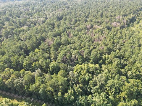 LAND - Ethel, LA