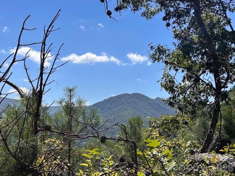 Land, Sylva, NC