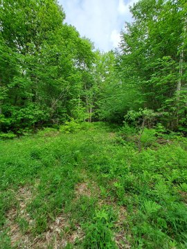 LAND - Andover, ME