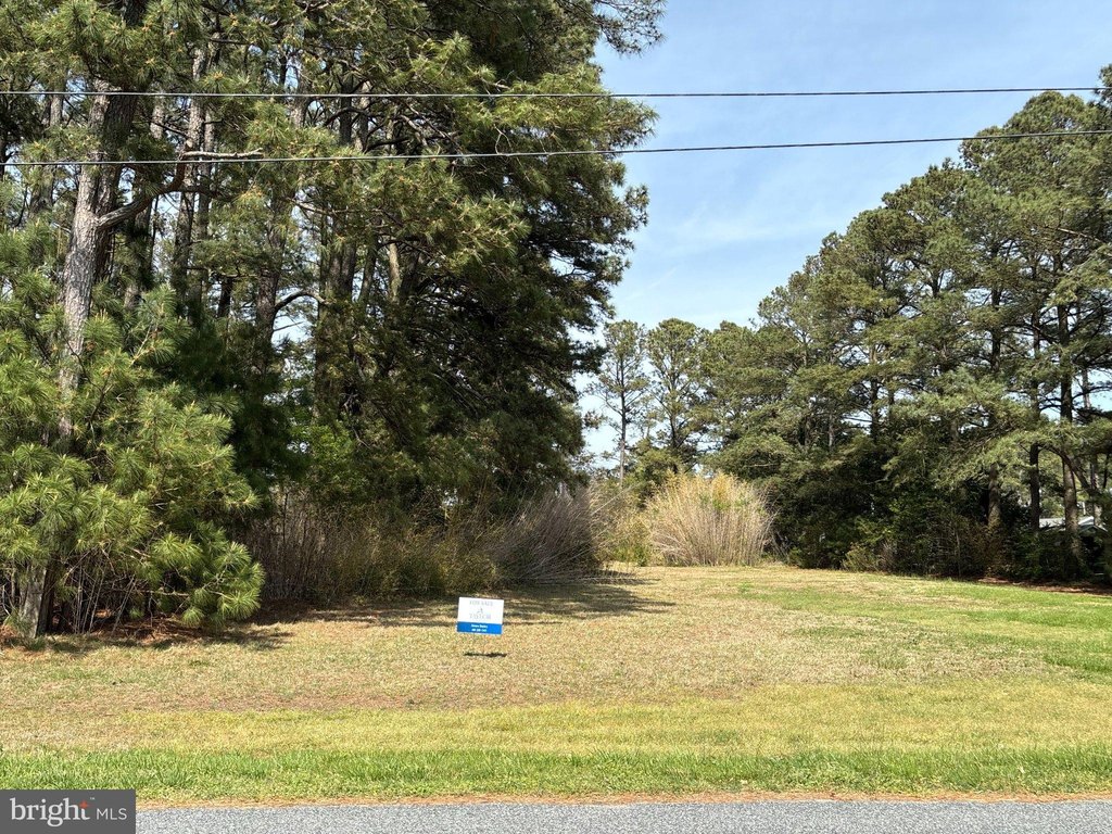 Picture 11