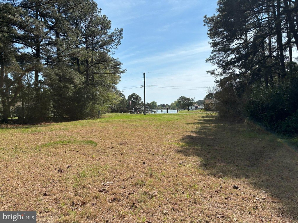 Picture 14