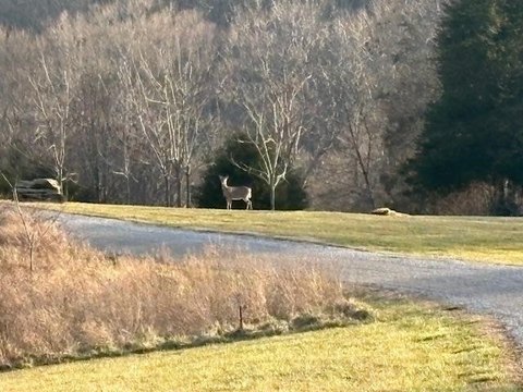 Lake-View Residential Land Lot