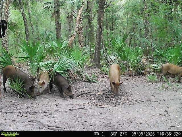 Picture 22