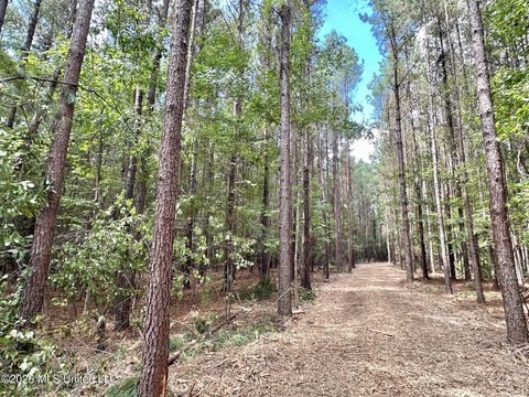 Land, Braxton, MS
