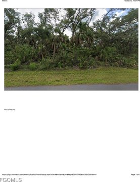 Residential Land in Lehigh Acres