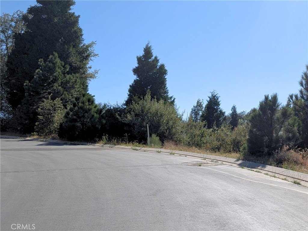 Picture 9
