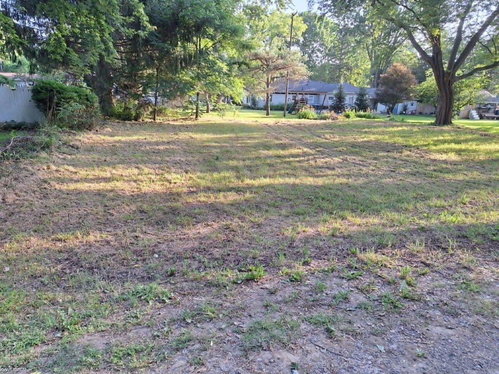 Picture 3