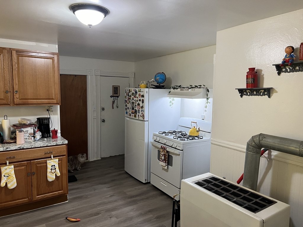 Picture 31