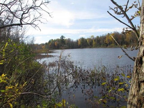 LAND - Mercer, WI