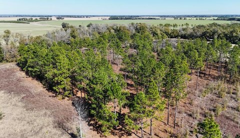 Residential Lot in Miller County