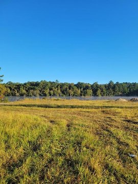 Lakefront Land in Waycross, GA