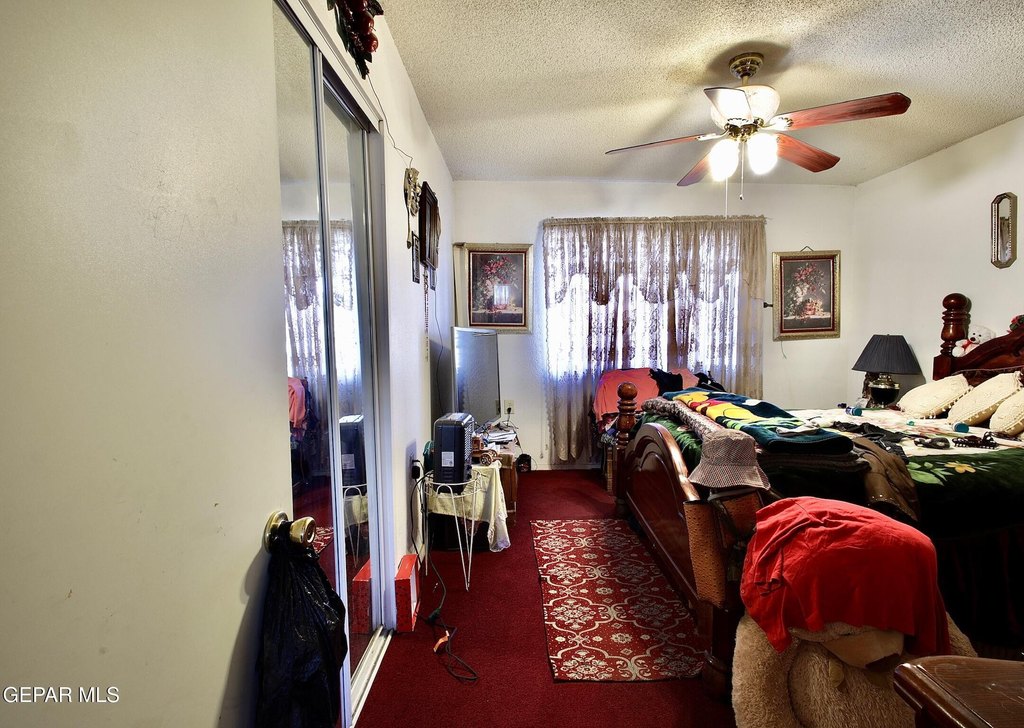 Picture 23