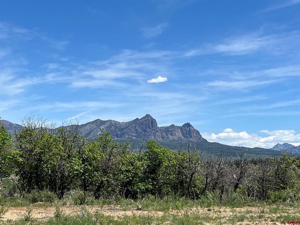 Land For Sale, Pagosa Springs