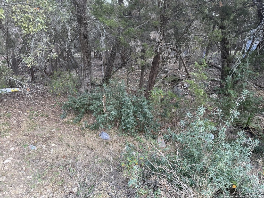 Picture 7