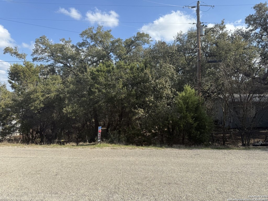 Picture 17