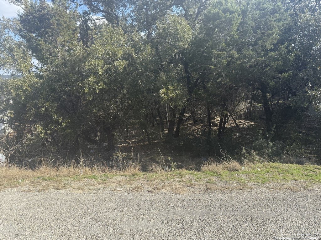 Picture 14