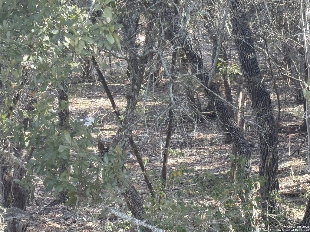 Picture 3