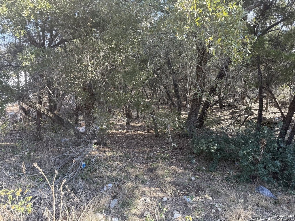Picture 12
