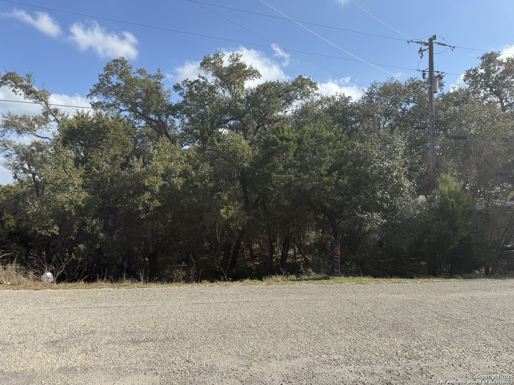Picture 18