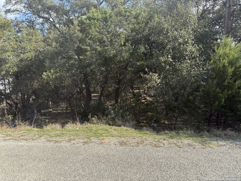 Picture 10