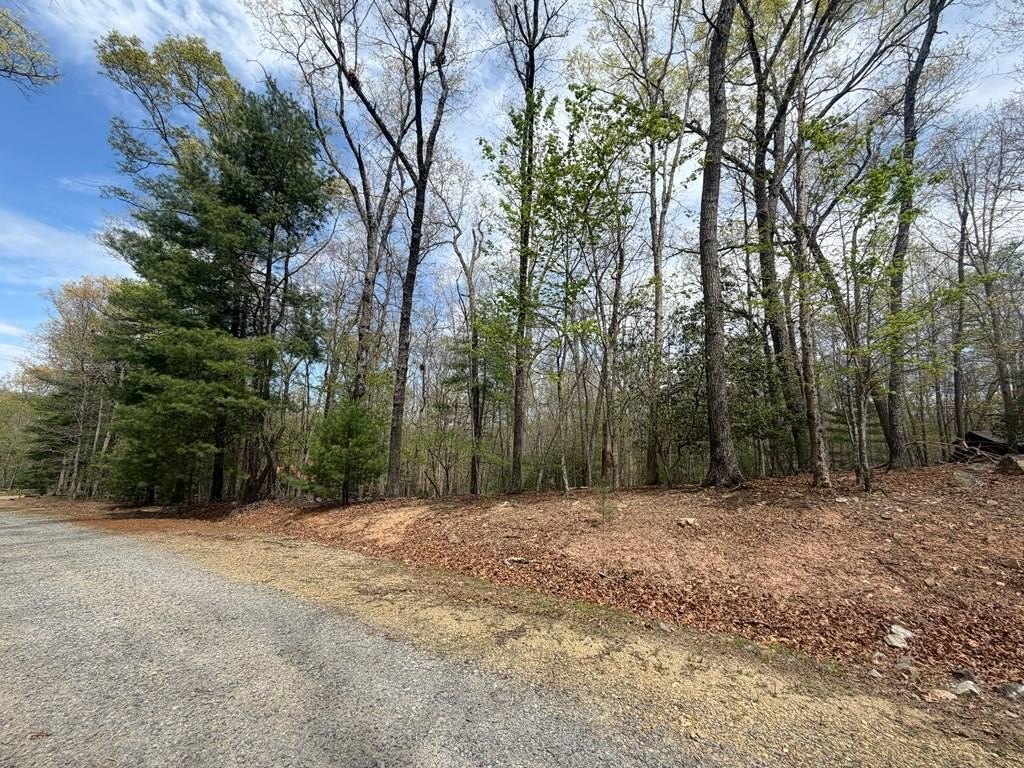 Morganton, GA Vacant Lot