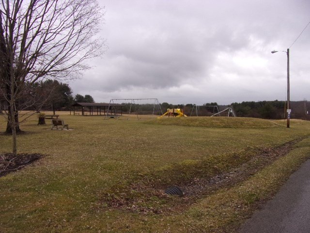 Picture 3
