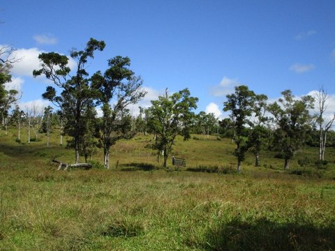 Pahoa Pasture Land For Sale