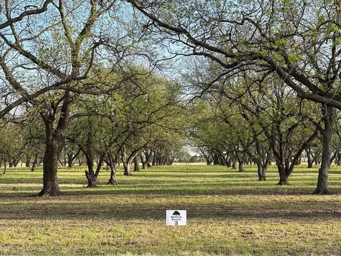 De Leon Land with Orchard