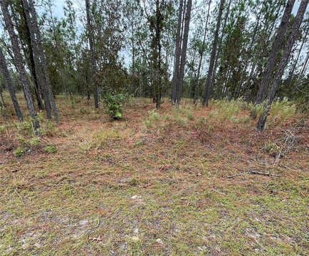 LAND - DUNNELLON, FL
