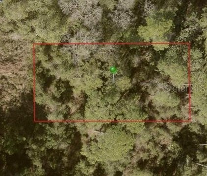 Land, DELAND, FL