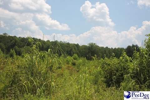 Residential Lot in Chesterfield, SC