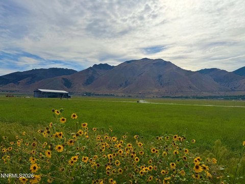 Land, Wellington, NV