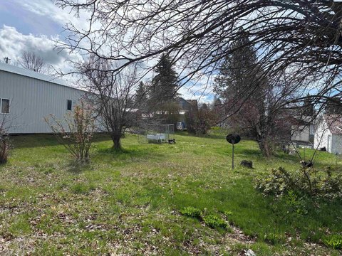 Residential Lot in Palouse, WA