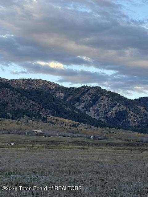 Picture 4