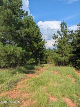 Land, Louisville, GA