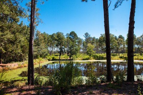 Expansive Acreage Lot with Pond