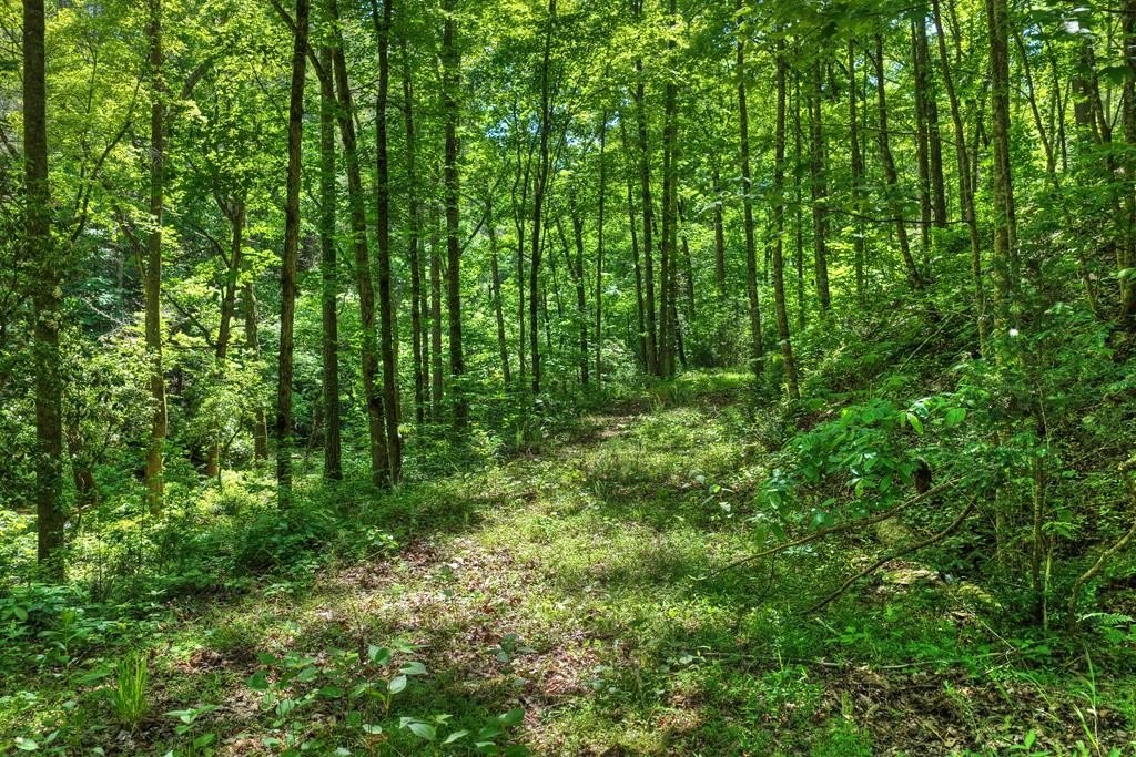 Wooded Lot in Gated Community