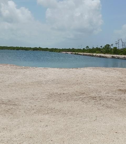 Picture 9
