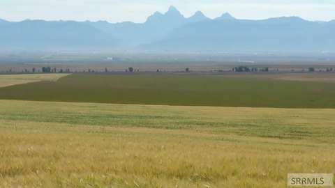 80 Acres in Teton Valley