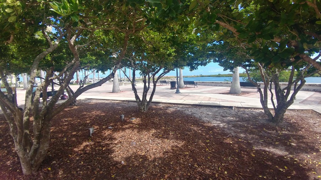 Picture 9