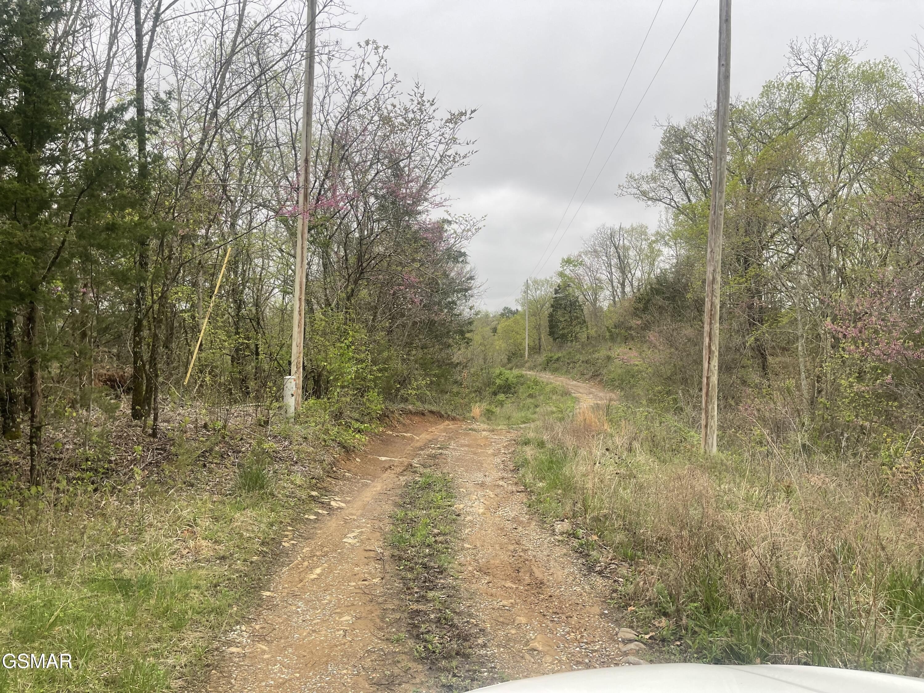 Secluded Land with Utilities