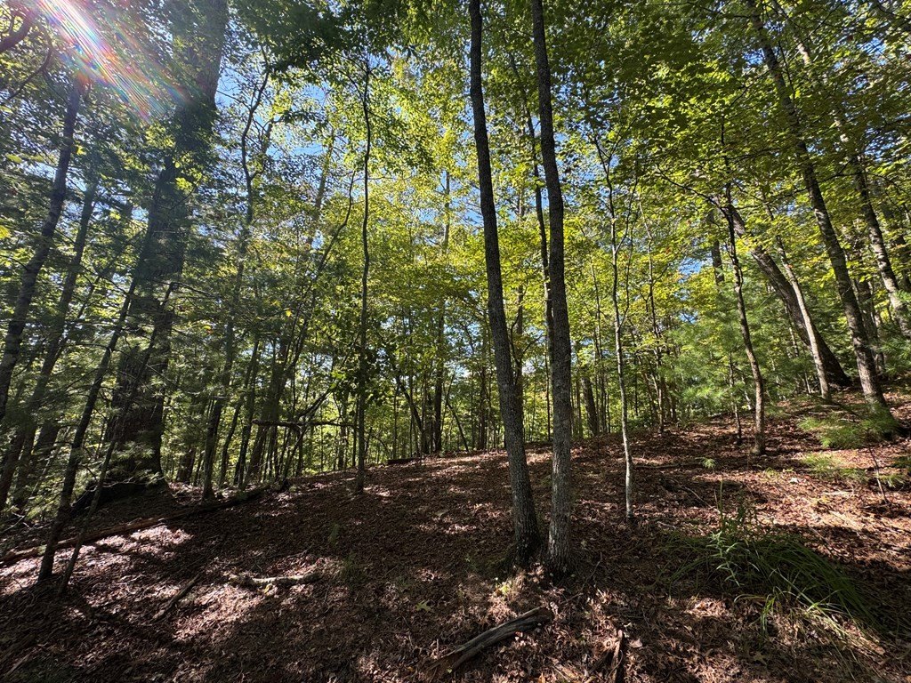 Picture 25