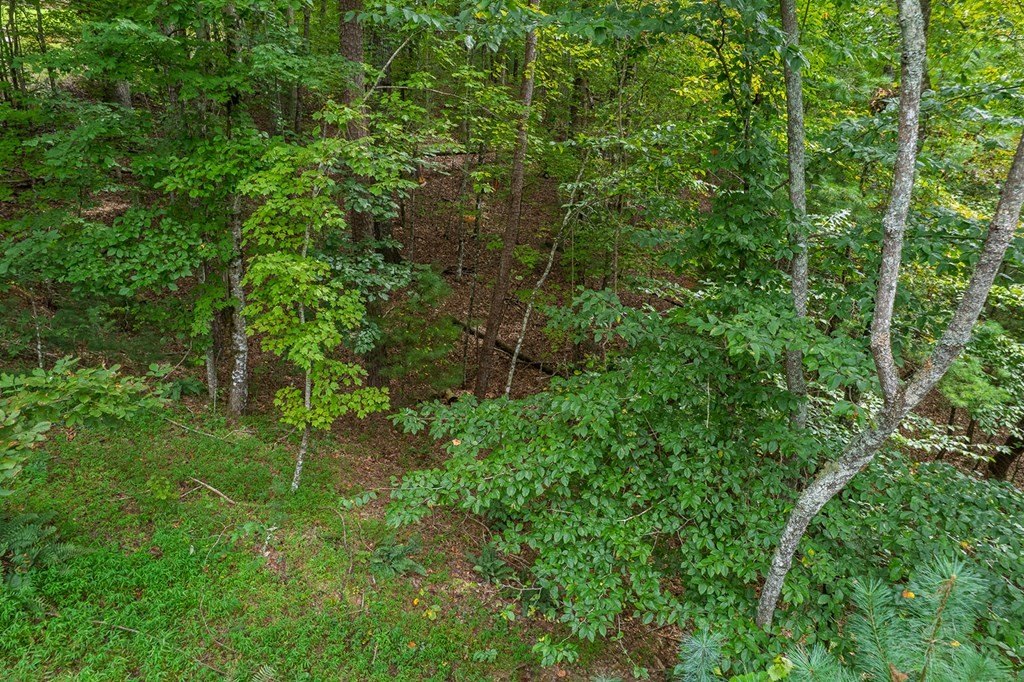 Picture 31