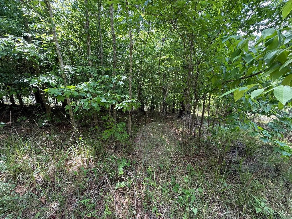 Picture 8