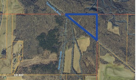 Wooded Hunting Tract on River