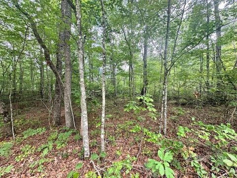 Fairfield Glade Wooded Lot