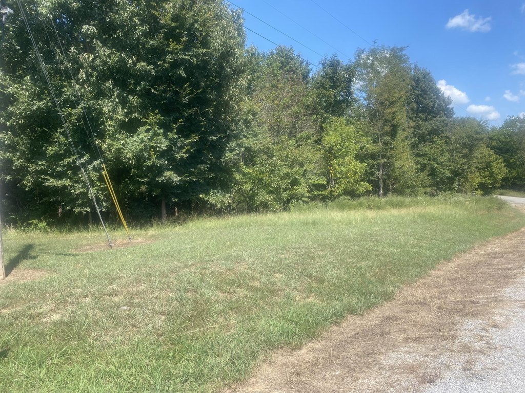 Picture 2