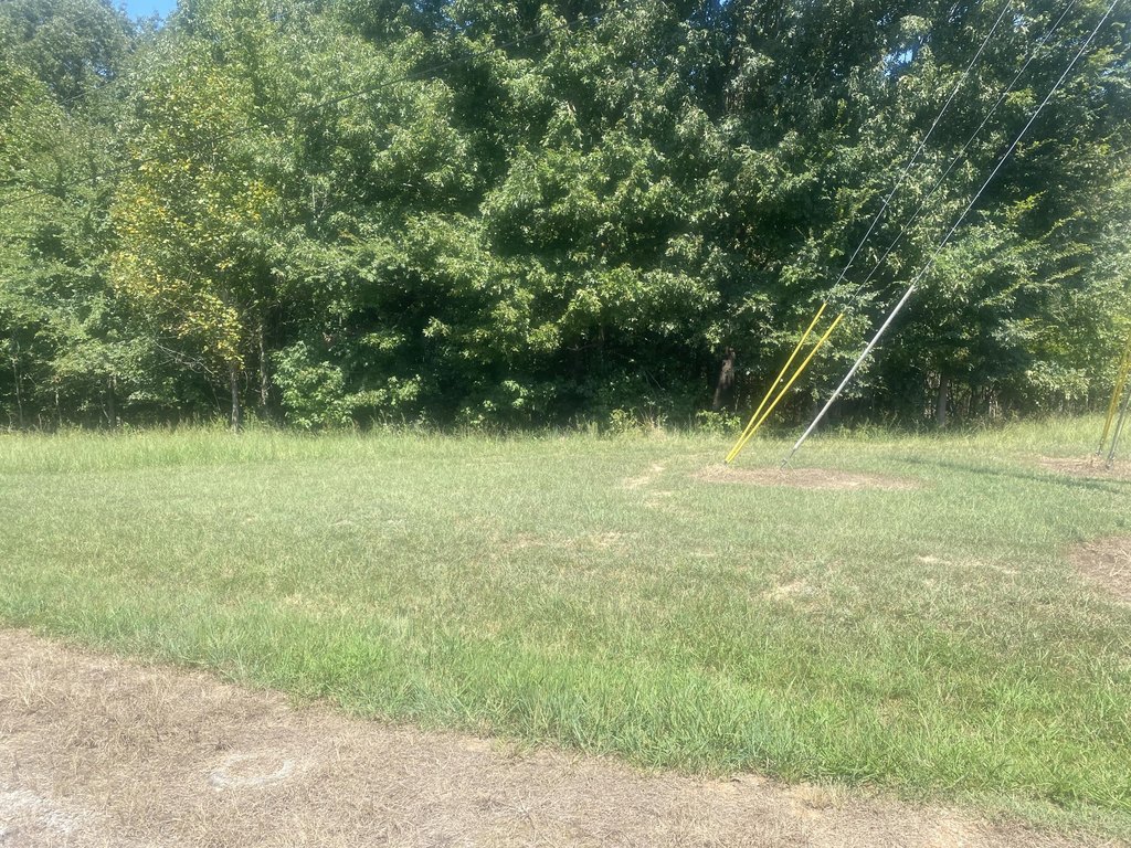 Picture 3