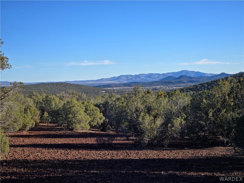 Kingman, AZ Raw Land