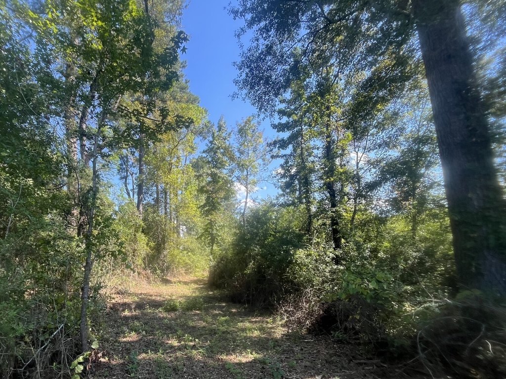 Picture 3